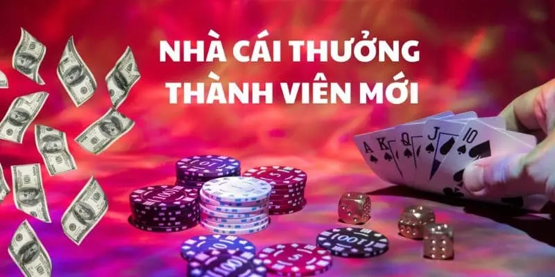 cau hoi thuong gap 4 2 1