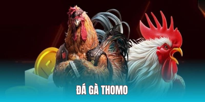Kèo đá gà Cam 67 – Dự đoán tổng hiệp tài xỉu